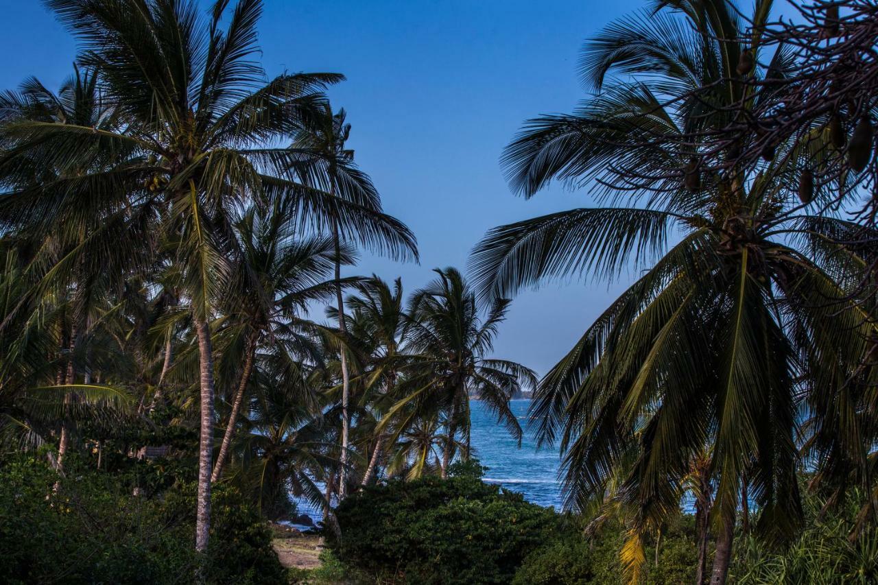 Villa Msambweni Beach House Exterior foto